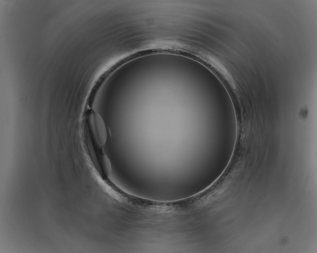 X0000091591037200708201225