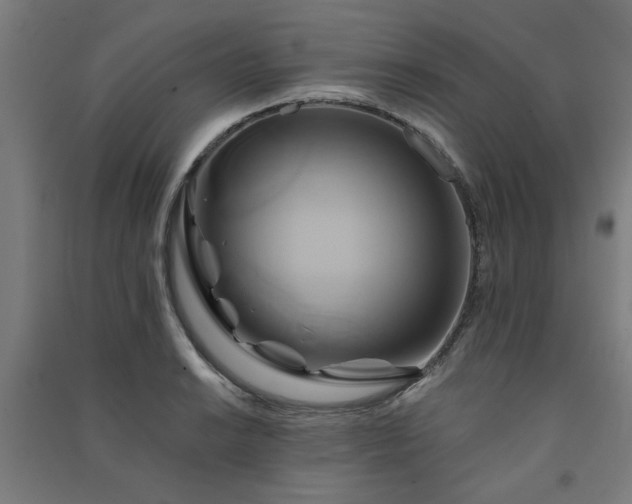 X0000091591038200708201225