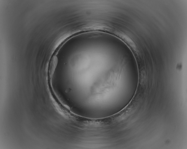 X0000091591039200708201225