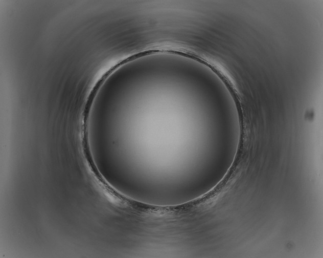 X0000091591040200708201225