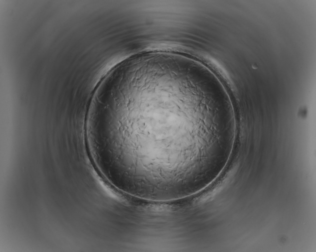 X0000091591041200708201225