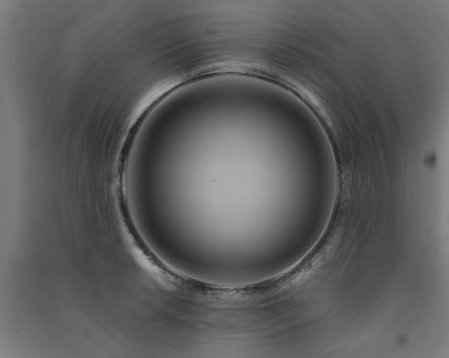 X0000091591042200708201225