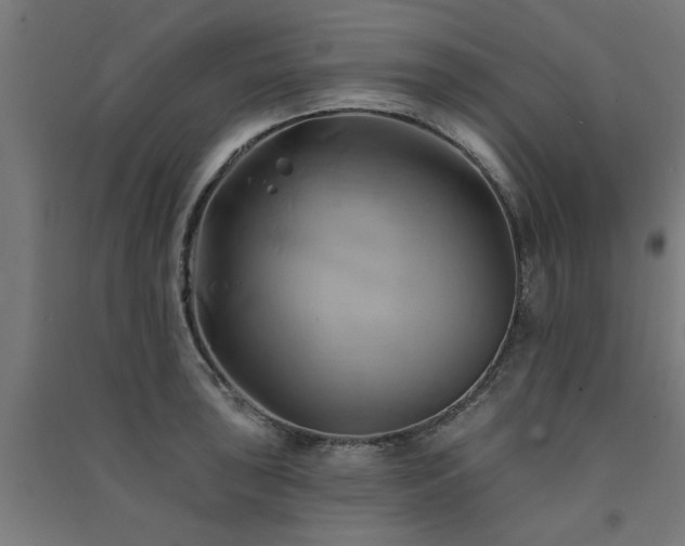 X0000091591043200708201225