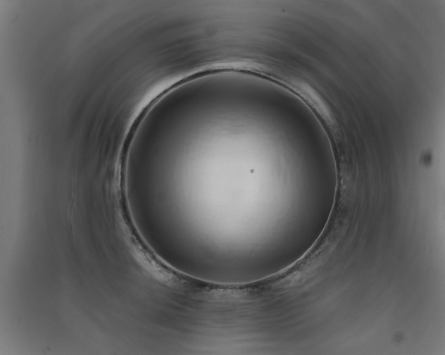 X0000091591044200708201225