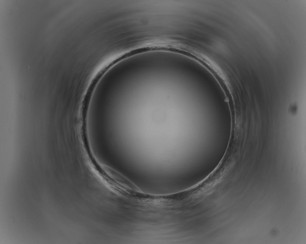 X0000091591045200708201225