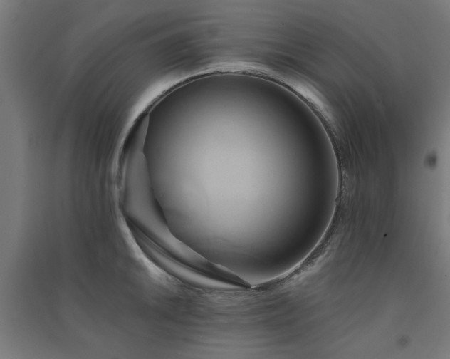 X0000091591046200708201225