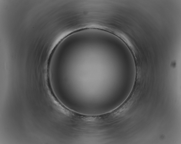 X0000091591048200708201226