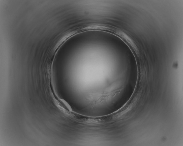 X0000091591049200708201226