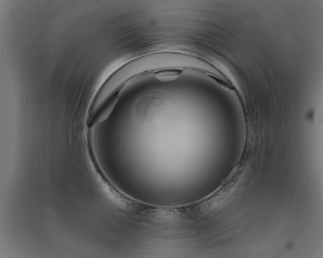 X0000091591050200708201226