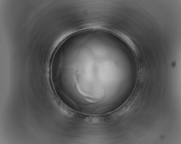 X0000091591051200708201226