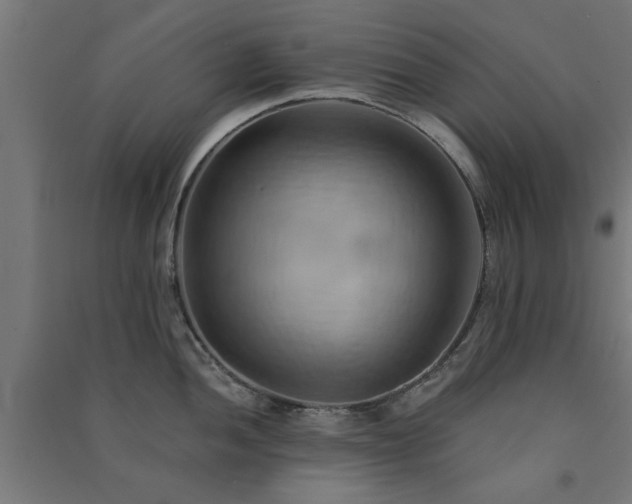 X0000091591052200708201226