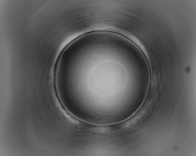 X0000091591053200708201226