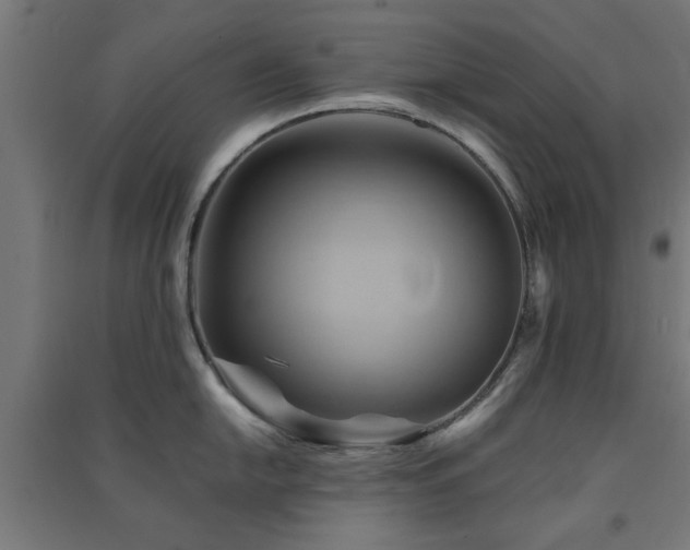 X0000091591054200708201226