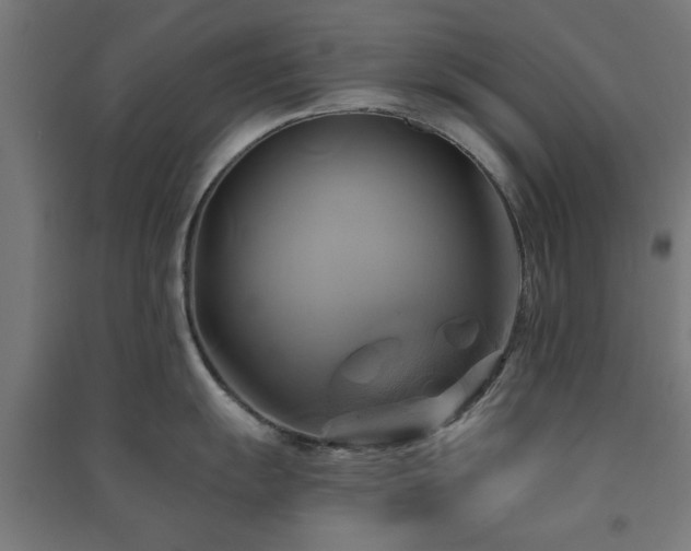 X0000091591055200708201226
