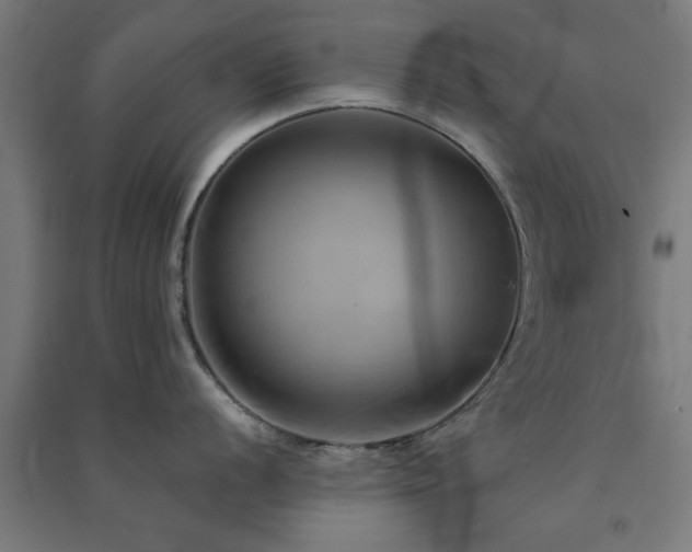 X0000091591056200708201226