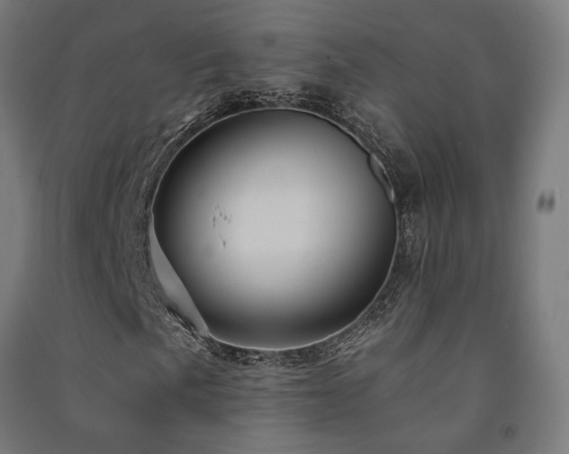 X0000091591057200708201225