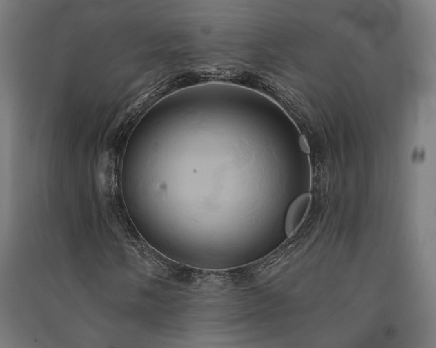 X0000091591058200708201225