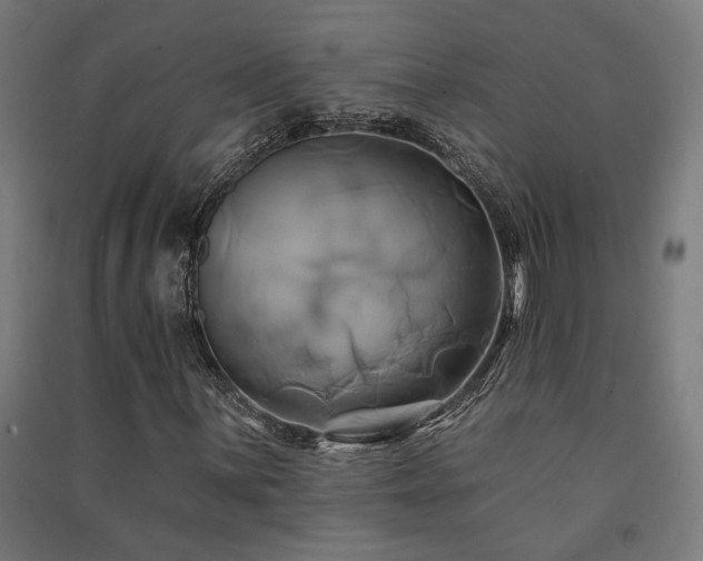 X0000091591059200708201225