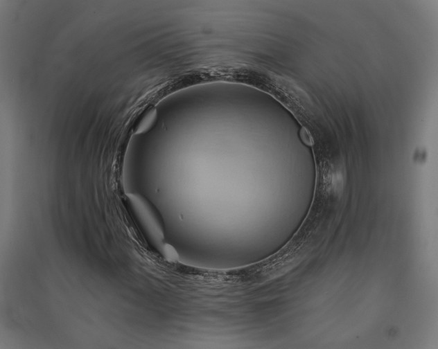 X0000091591060200708201225