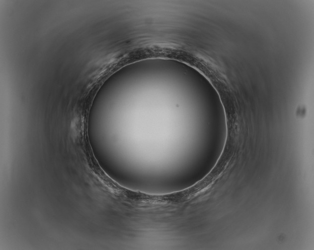 X0000091591061200708201225