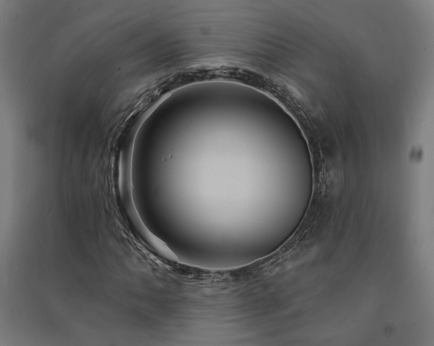 X0000091591062200708201225