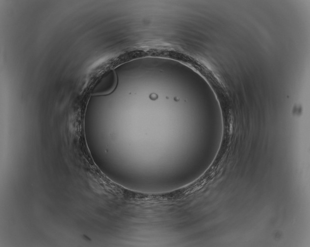 X0000091591063200708201225