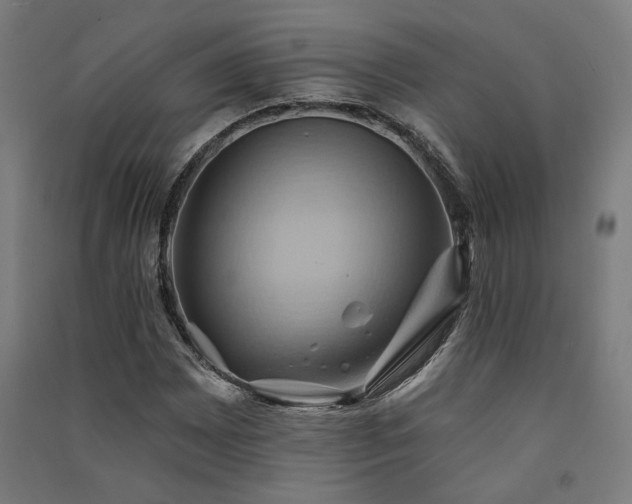 X0000091591065200708201225