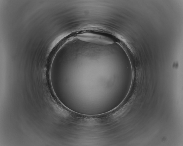 X0000091591066200708201225