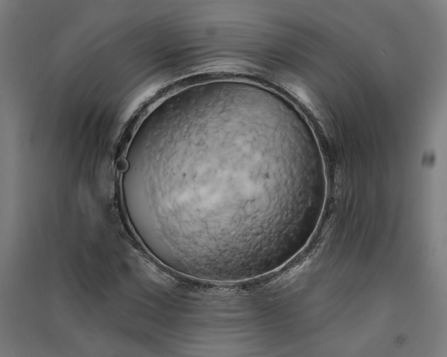 X0000091591067200708201225