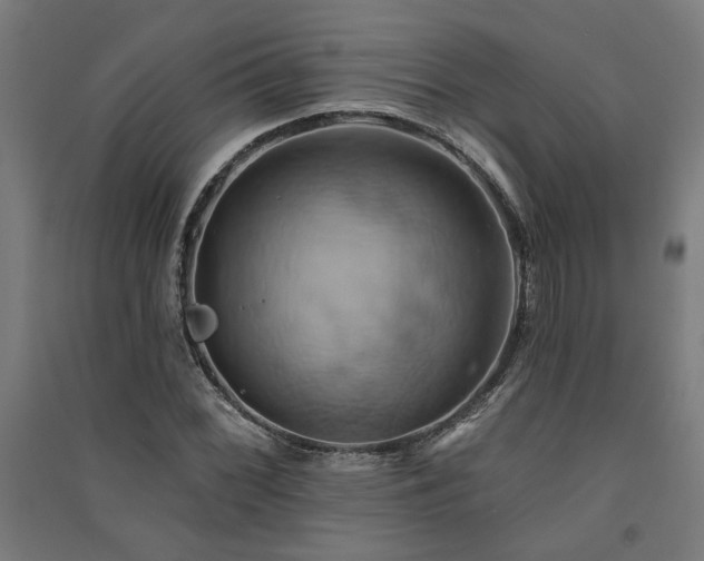 X0000091591068200708201225