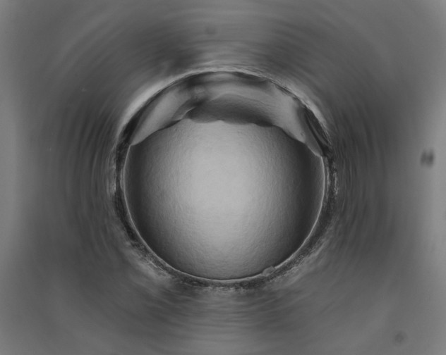 X0000091591069200708201225