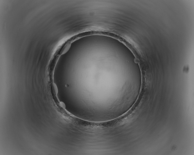 X0000091591070200708201225