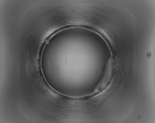 X0000091591071200708201225