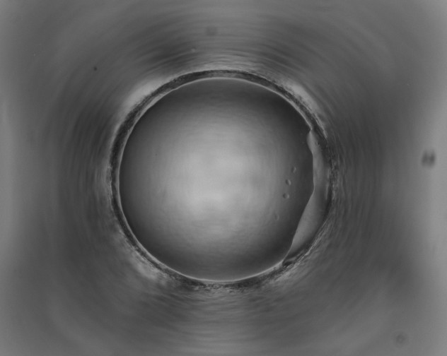 X0000091591072200708201225