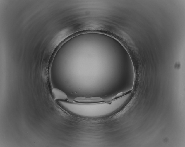 X0000091591073200708201225