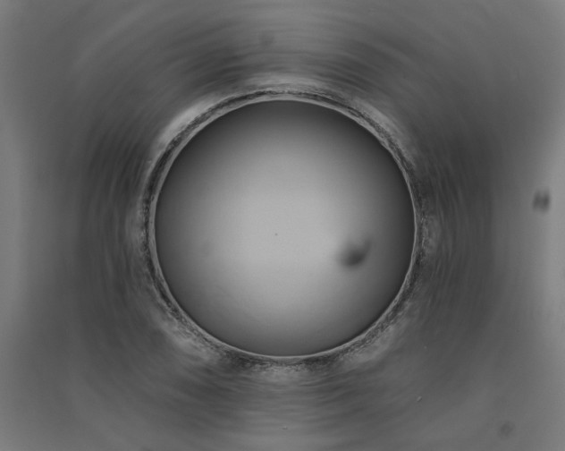 X0000091591074200708201225