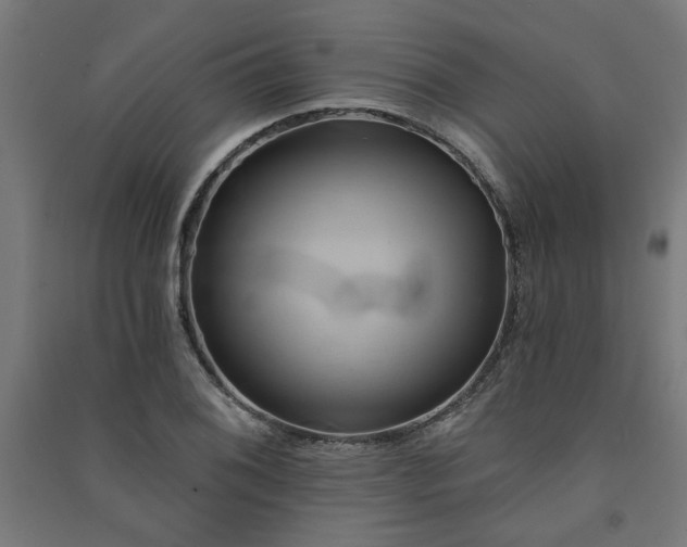 X0000091591076200708201225