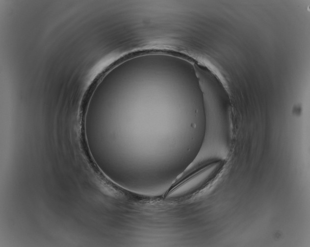 X0000091591077200708201225