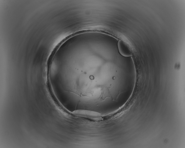X0000091591079200708201225