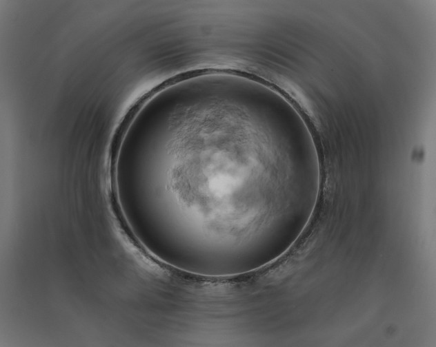 X0000091591080200708201225