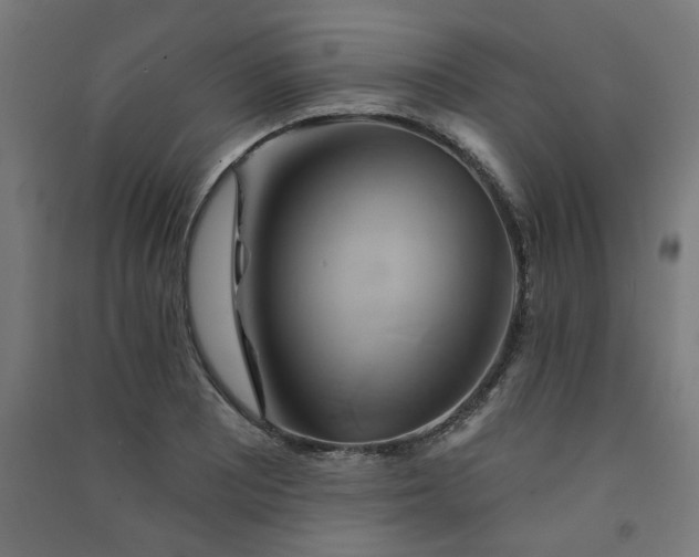 X0000091591081200708201225