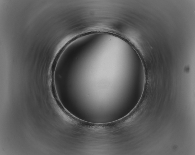X0000091591082200708201225
