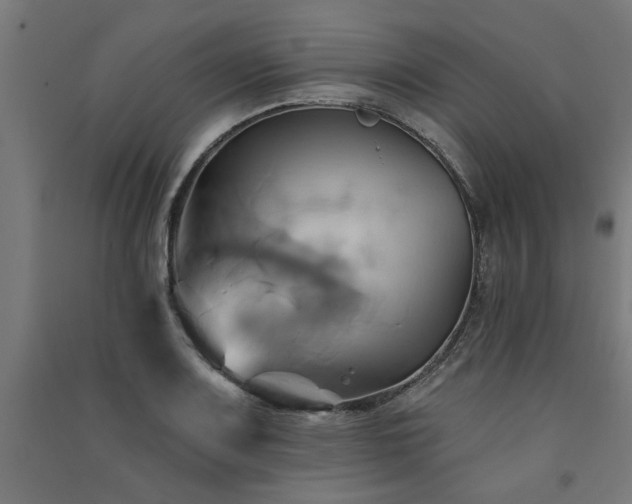 X0000091591083200708201225