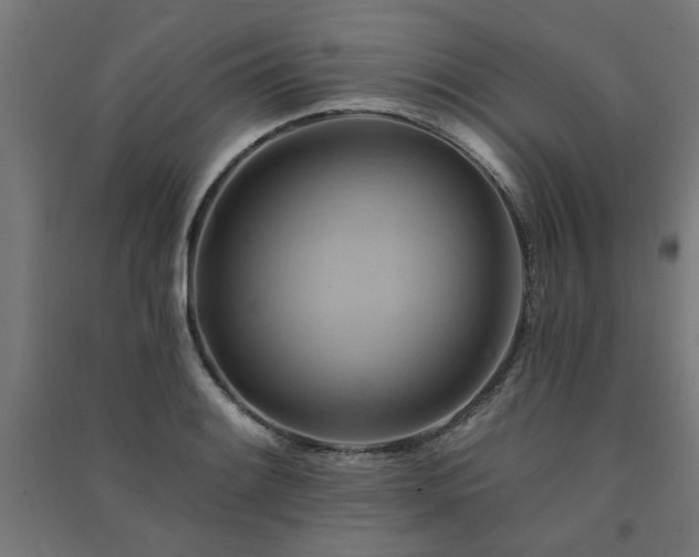 X0000091591084200708201225