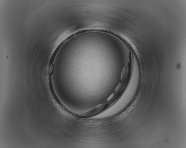 X0000091591085200708201225