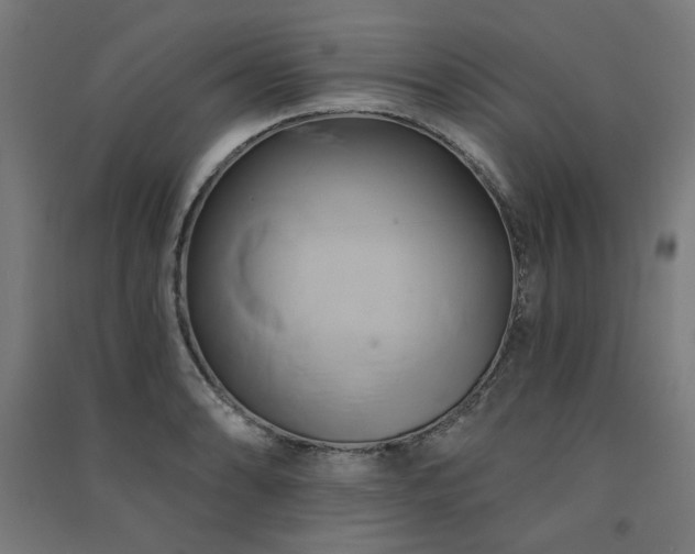 X0000091591086200708201225