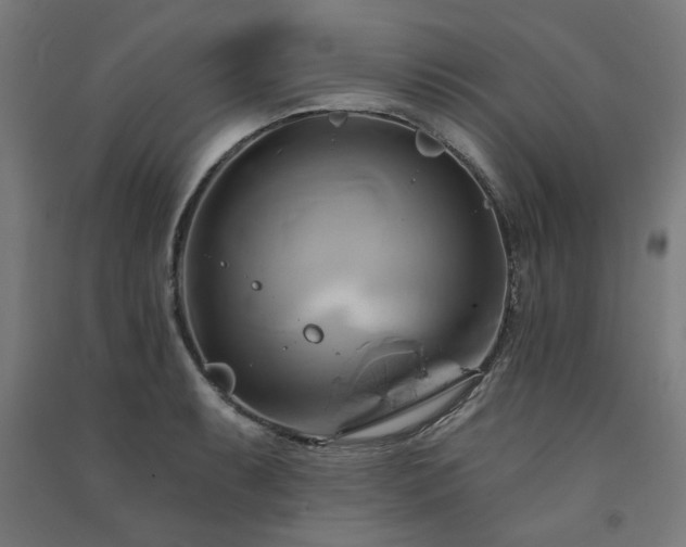 X0000091591087200708201225