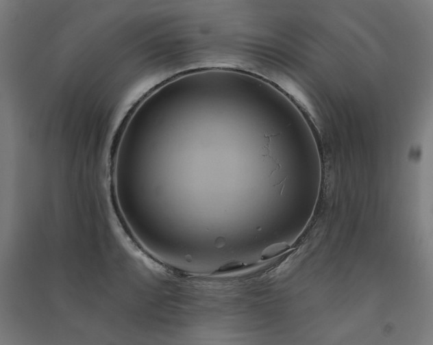 X0000091591088200708201225