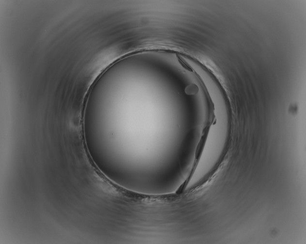 X0000091591089200708201225