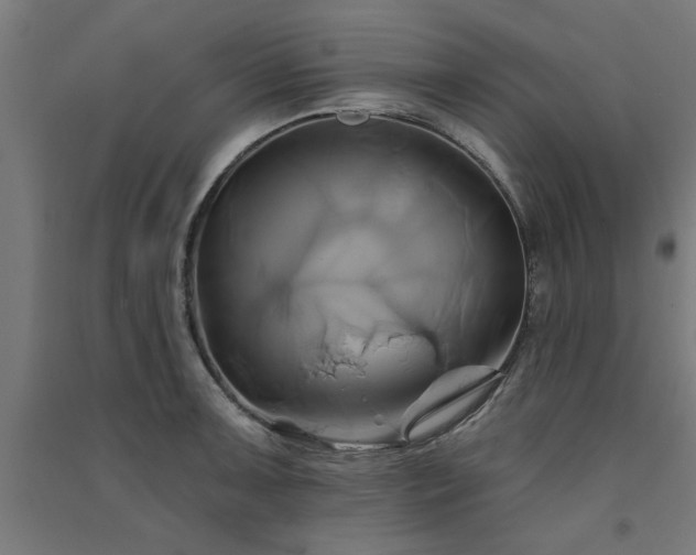 X0000091591091200708201224